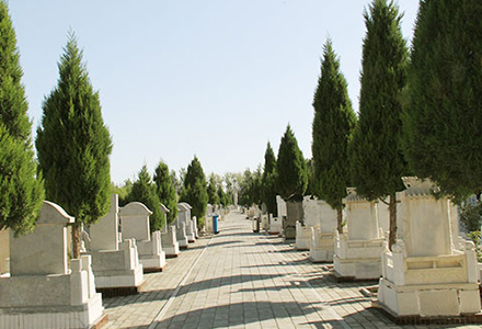 岩石墓区